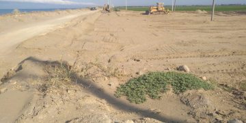 El GEPEC denuncia les obres d’un pàrquing en una zona protegida de la Marquesa