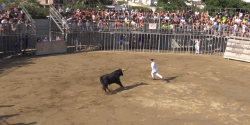 La Coordinadora per l’Abolició dels Correbous carrega contra el govern per permetre els actes taurins