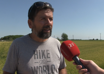 UP calcula que la pedra de fa una setmana va afectar 1.200 hectàrees d’arròs al Delta