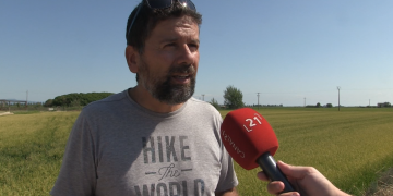 UP calcula que la pedra de fa una setmana va afectar 1.200 hectàrees d’arròs al Delta