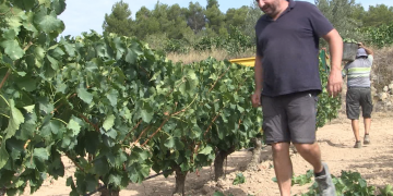 Unió de Pagesos se suma al clam de la Terra Alta i la Ribera d’Ebre contra la nova MAT