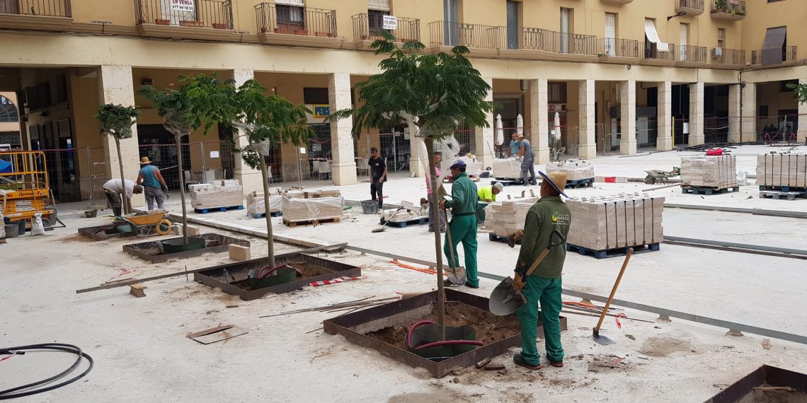 Tortosa planta els arbres de la nova plaça de l’Ajuntament i dels carrers adjacents