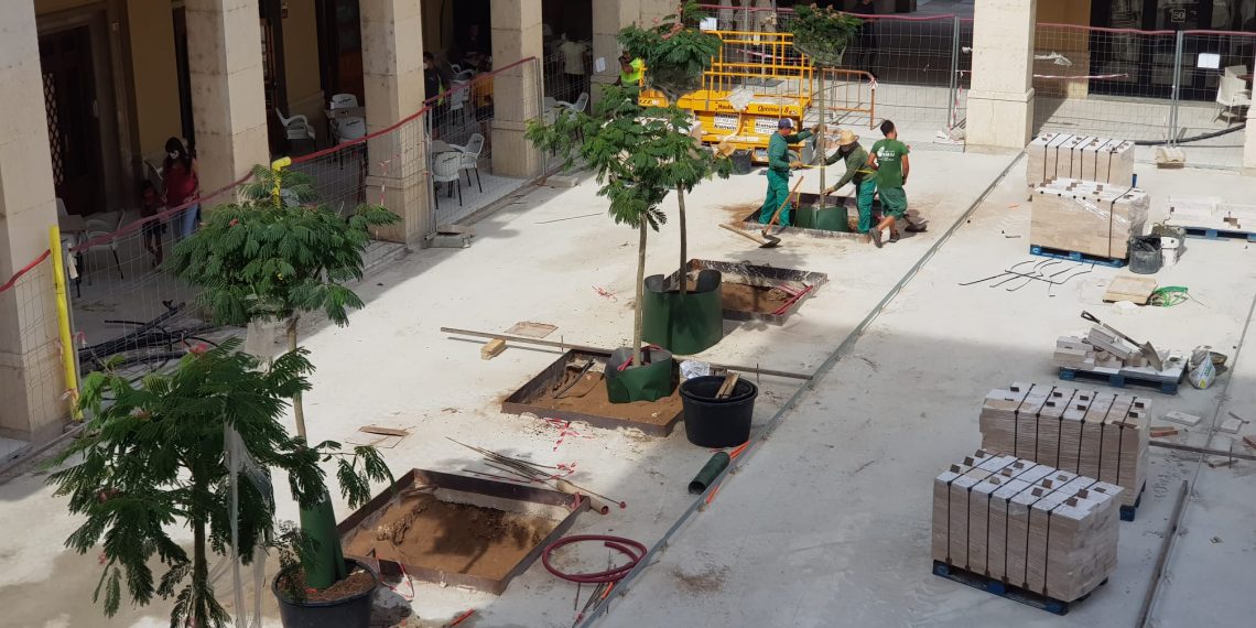 Tortosa planta els arbres de la nova plaça de l’Ajuntament i dels carrers adjacents