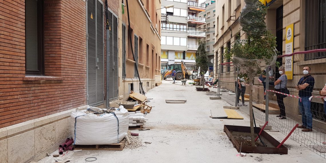 Tortosa planta els arbres de la nova plaça de l’Ajuntament i dels carrers adjacents