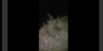 Tomben un monòlit que homenatjava feixistes italians de la Guerra Civil a Caseres