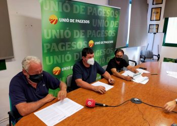 UP denuncia ‘irregularitats’ en el procés de tramitació de la línia de molt alta tensió