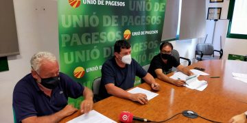 UP denuncia ‘irregularitats’ en el procés de tramitació de la línia de molt alta tensió