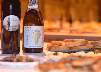 Gandesa recupera la Festa del Vi, amb la Nit de les Garnatxes i la Festa de la Clotxa