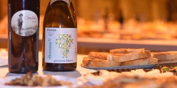 Gandesa recupera la Festa del Vi, amb la Nit de les Garnatxes i la Festa de la Clotxa