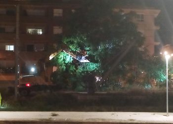 Tortosa vol que Adif face de dia les obres a l’estació, per les queixes veïnals pel soroll