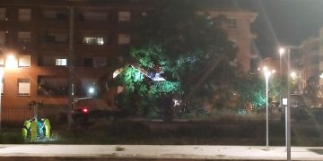 Tortosa vol que Adif face de dia les obres a l’estació, per les queixes veïnals pel soroll