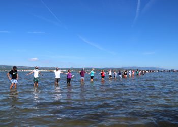 Centenars de persones fan una cadena humana a la badia del Fangar per denunciar la regressió del Delta