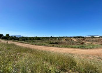 La multinacional Kronospan s’implanta a Tortosa amb una inversió de 200 milions