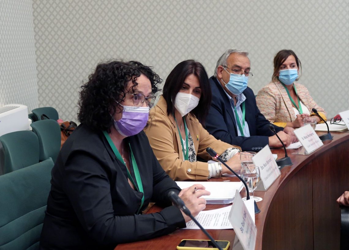 Sanromà i representants del Camp i l’Ebre rebutgen la MAT de Forestalia al Parlament