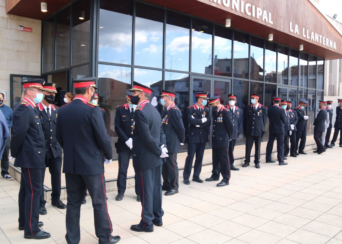 Els Mossos desmantellen més de 60.000 plantes de marihuana il·legal a l’Ebre