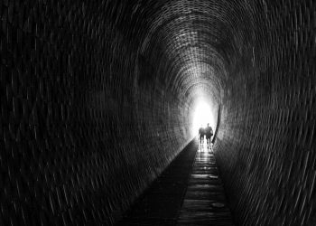 No és valent aquell que no té por, sinó aquell que sap conquerir-la