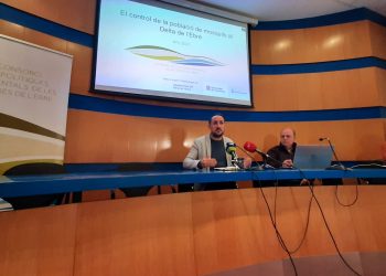 El COPATE frena la plaga de la mosca negra a l’Ebre amb l’avançament dels tractaments