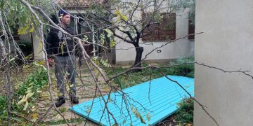 Un possible tornado provoca danys i arrenca arbres de grans dimensions a l’Ametlla de Mar