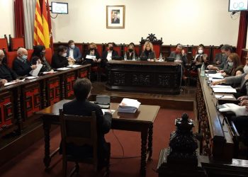 El ple de Tortosa aprova els últims tràmits urbanístics per l’arribada de Kronospan