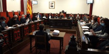El ple de Tortosa aprova els últims tràmits urbanístics per l’arribada de Kronospan