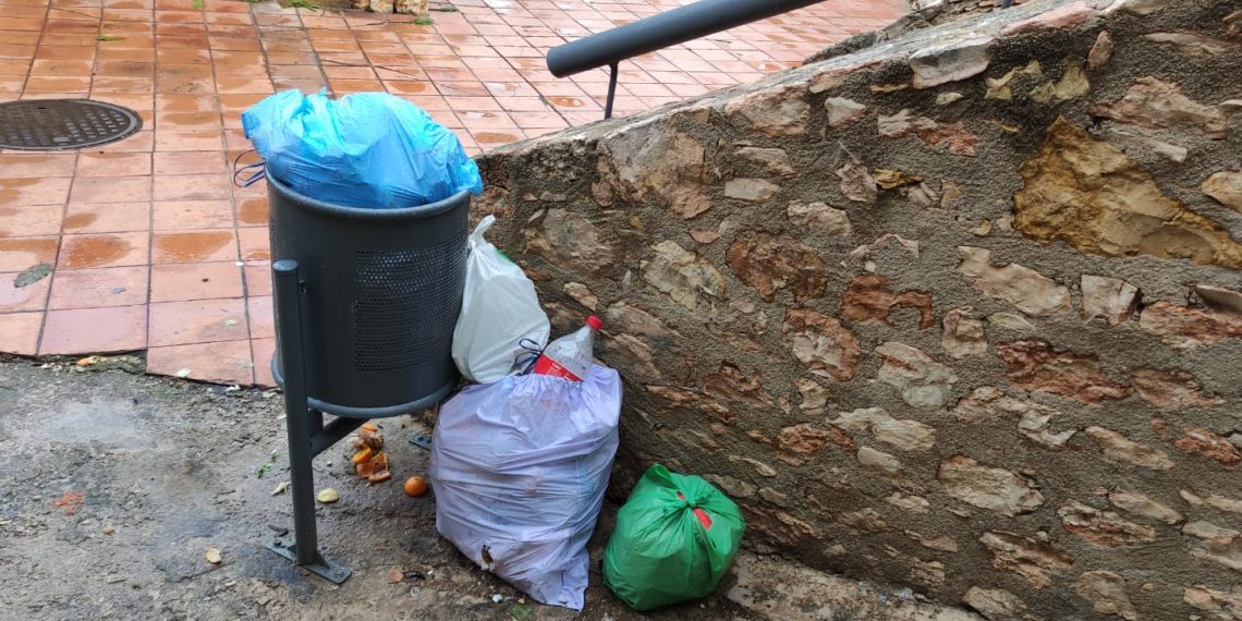 La Policia Local aixeca fins a 22 actes per abocaments de brossa als carrers de Tortosa