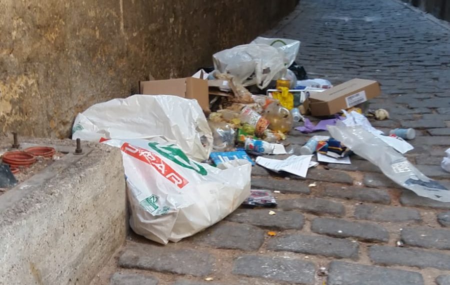 La Policia Local aixeca fins a 22 actes per abocaments de brossa als carrers de Tortosa