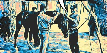 #VinyetaMRF #11 La variant mutant