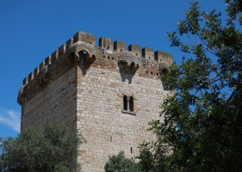 Amposta encendrà la Carrova en una acció pels drets humans a la Mediterrània