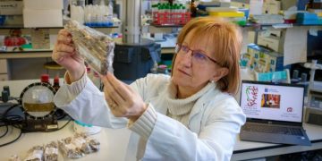 La URV té mostres de vinyes centenàries enterrades sota la lava del volcà de la Palma