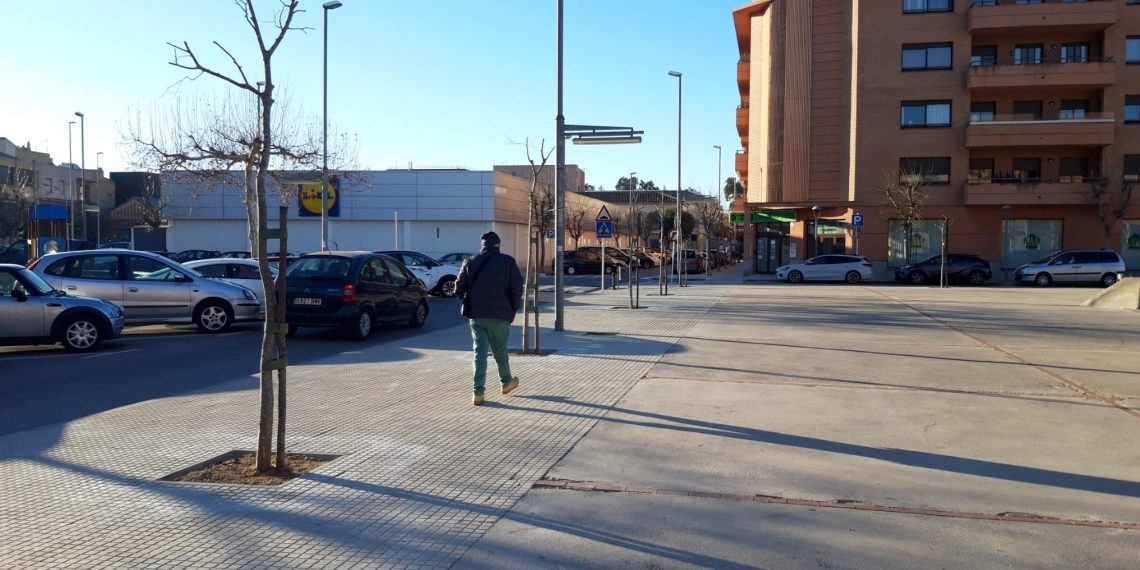Tortosa amplia l’arbrat del barri de Ferreries amb més d’un centenar d’arbres nous
