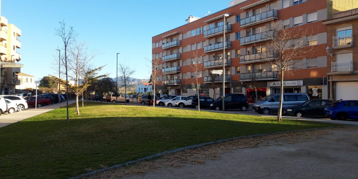 Tortosa amplia l’arbrat del barri de Ferreries amb més d’un centenar d’arbres nous