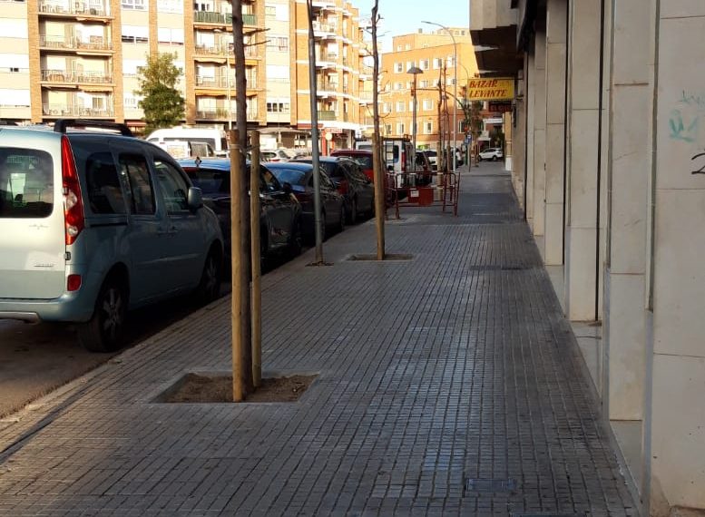 Tortosa amplia l’arbrat del barri de Ferreries amb més d’un centenar d’arbres nous