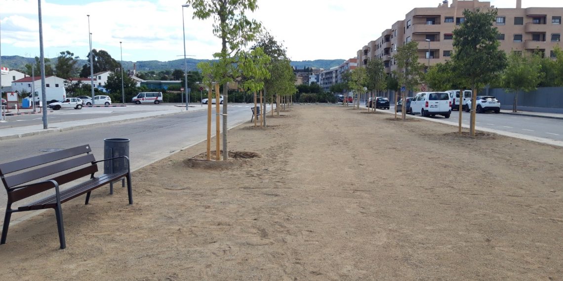 Tortosa amplia l’arbrat del barri de Ferreries amb més d’un centenar d’arbres nous