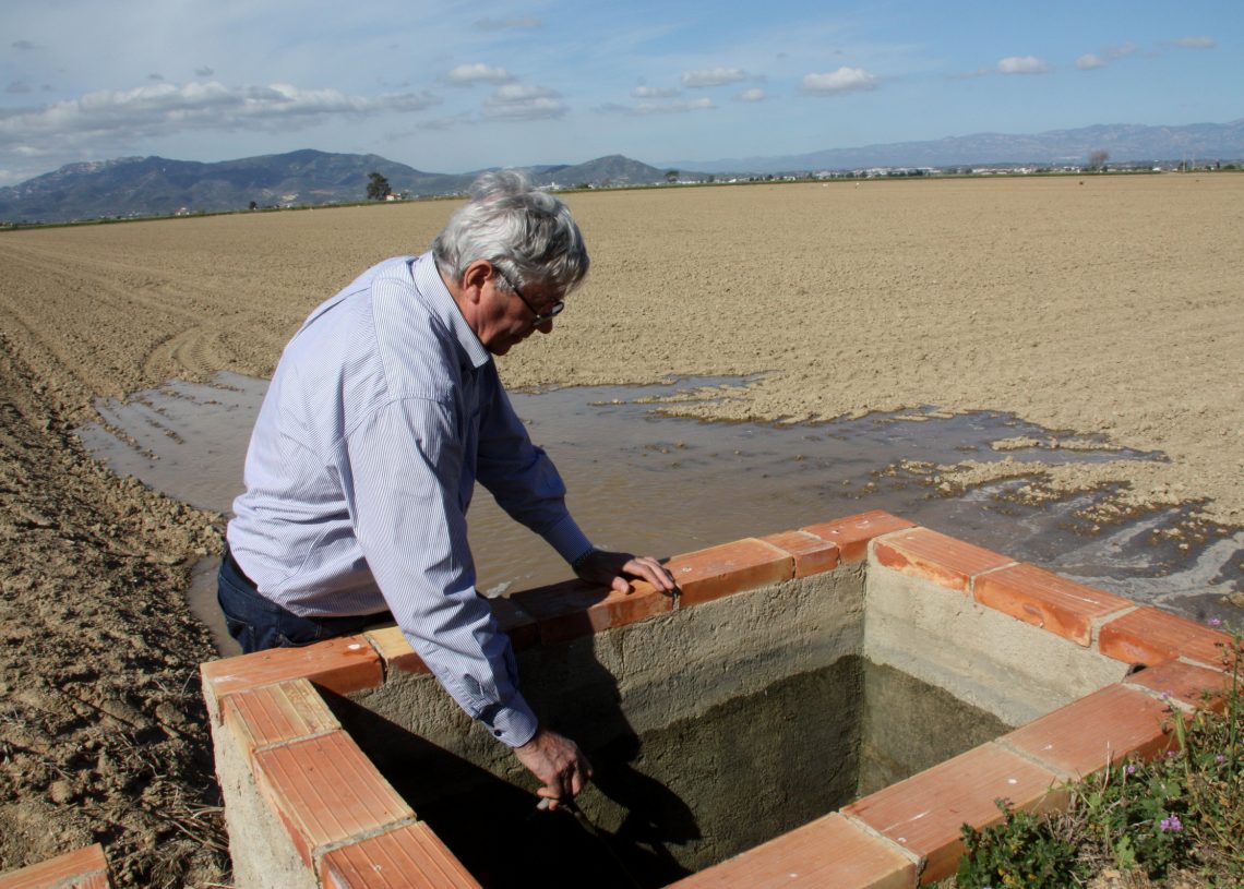 Reclamen 6,5 milions anuals per compensar les mesures agroambientals als arrossars