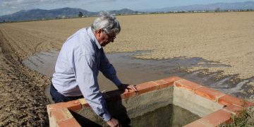 Reclamen 6,5 milions anuals per compensar les mesures agroambientals als arrossars