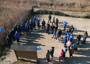 Els ecologistes reclamen més restauracions ambientals a les zones humides del Delta