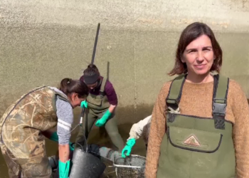 La PDE reivindica les dones científiques que treballen ‘a l’Ebre i per a l’Ebre’