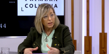 Lleixà afirma que d’entrada el nou servei de cangur públic serà ‘universal i gratuït’