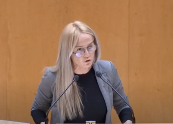 Callau (ERC) s’estrena al Senat amb una dura crítica a PSOE, PP i Podemos pel cas Castor