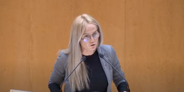 Callau (ERC) s’estrena al Senat amb una dura crítica a PSOE, PP i Podemos pel cas Castor