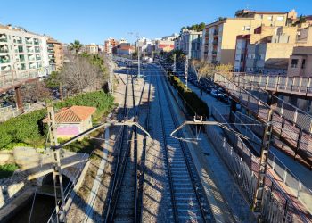 El hàmster ferroviari ebrenc