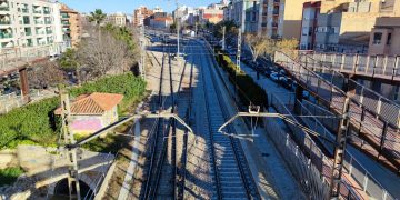 El hàmster ferroviari ebrenc