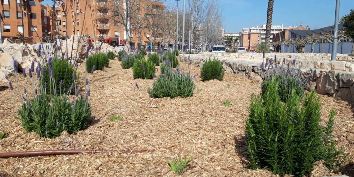 Tortosa renova la zona verda del barri del Temple, al passeig Jaume I