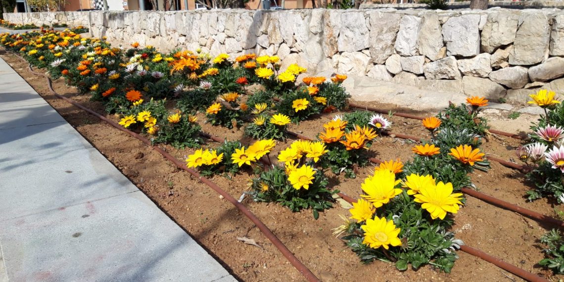 Tortosa renova la zona verda del barri del Temple, al passeig Jaume I