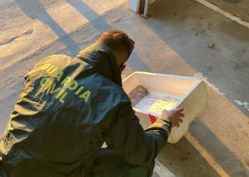 Guàrdia Civil i Mossos d’Esquadra incauten 60 quilos d’ostró al Delta