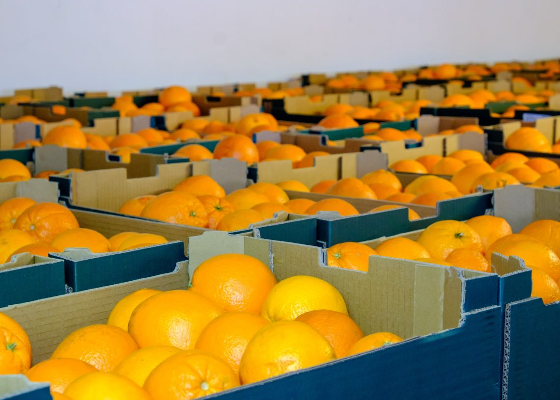 El preu de les taronges s’ensorra i UP denuncia l’incompliment de la llei de la cadena alimentària