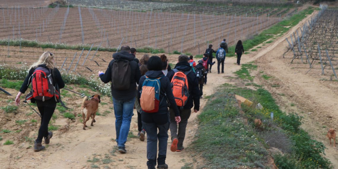 Rememoren la retirada del batalló Lincoln-Washington entre Batea i Corbera d’Ebre amb una ruta a peu