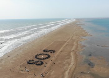 Centenars de persones formen un gran SOS com a crit d’alerta per la regressió del Delta