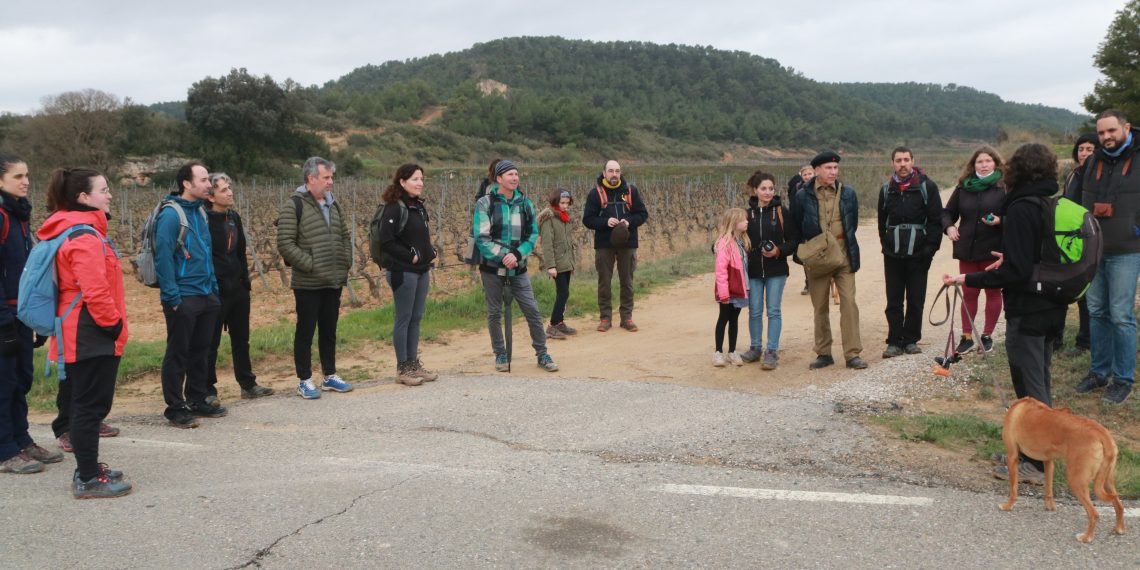 Rememoren la retirada del batalló Lincoln-Washington entre Batea i Corbera d’Ebre amb una ruta a peu