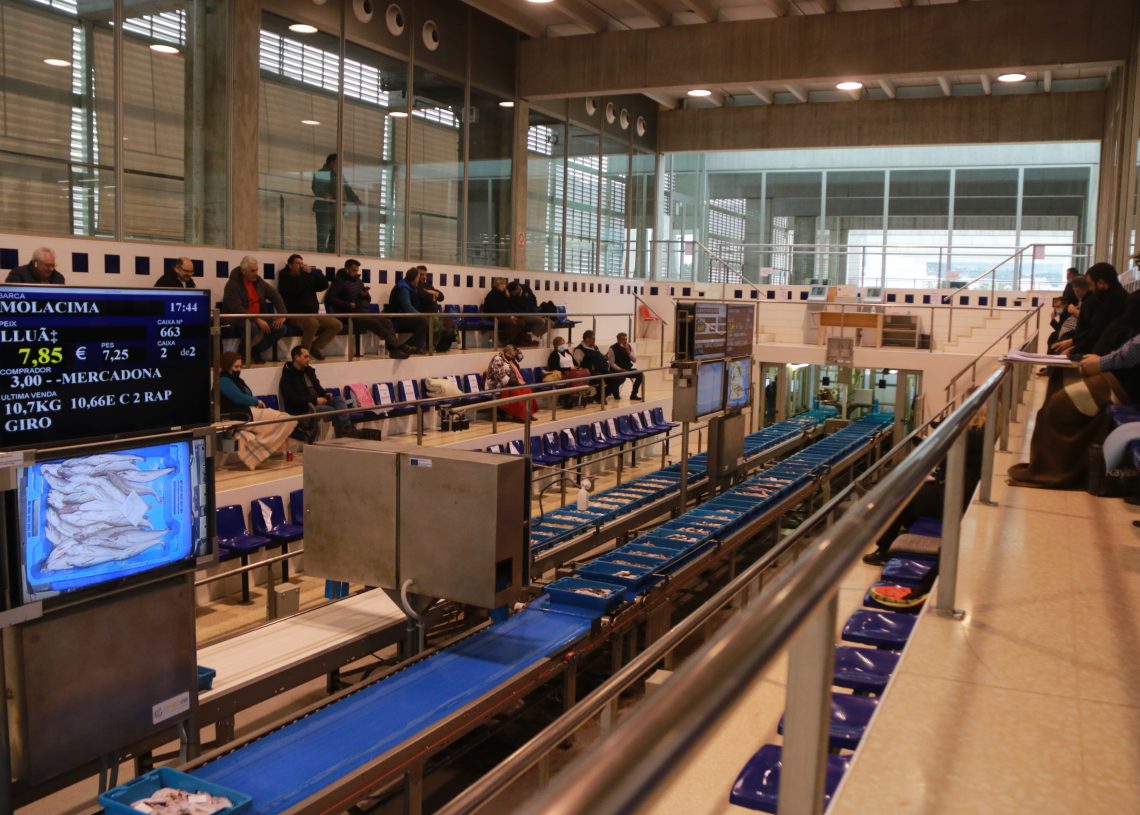 La badia dels Alfacs es reobre a la pesca, després d’estar tancada per una alga tòxica
